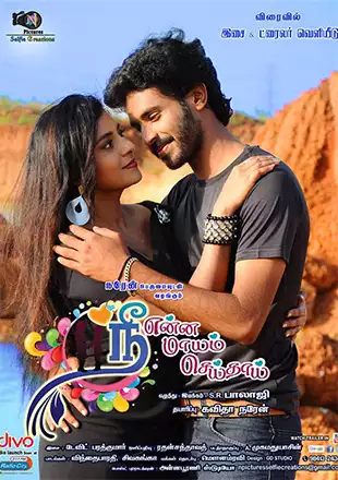Nee Enna Maayam Seidhai (2018)